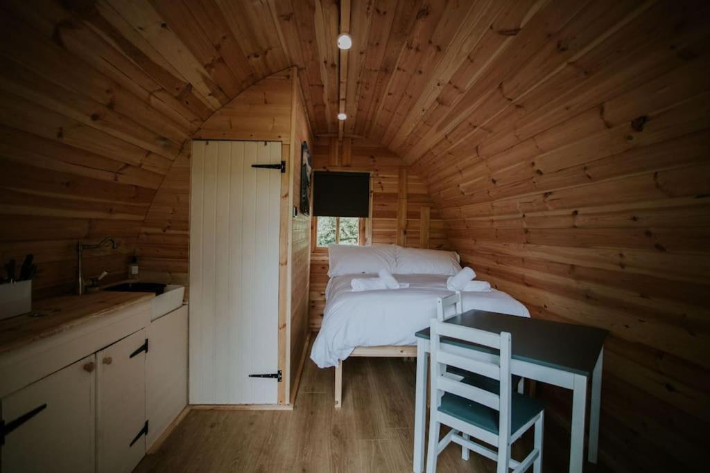 Ash Winter Retreat- Hot Tub & Log Bruner Barmouth Exterior foto